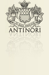 Antinori online at WeinBaule.de | The home of wine