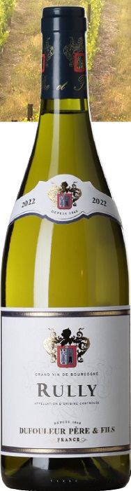 Dufouleur Pere & Fils Rully White Dufouleur Pere & Fils Rully White