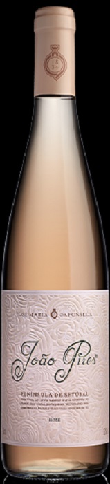 Joao Pires Rose Joao Pires Rose